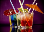 Charlottesville Bar Crawl Scavenger Hunt - Cheers, Charlottesville Bar Hunt